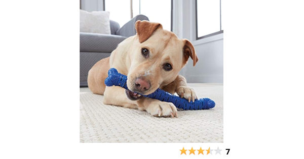 chewbrush amazon