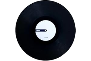 STOKYO Algoriddim djay PRO AI 12" Control Vinyl