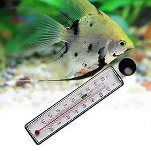 STORE99? Aquarium Fish Tank Glass Meter Water Temperature Gauge Suction Cup