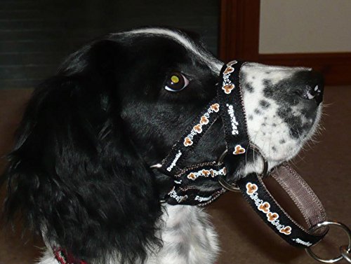 Dogmatic-Padded-Headcollar-Size-05-Black