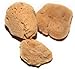 3 X 1.5-2 Inches, 'Silk Fina' Sea Sponges for Professional Make-up Application and Removal; Craft, Art Uses, and Detail Cleaning (Unbleached)