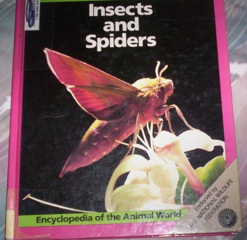 Insects and Spiders livre