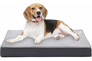 Jaspuriea Orthopädisches Hundebett Mittelgroße Hunde mit Wasserdichtem Abnehmbarem Bezug, Rutschfestem Waschbar Hundebetten, Deluxe-Flanell Bequeme Hundekissen, Grau, 75x50x9 cm