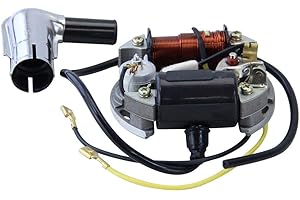 CITOMERX Zündung Set Lichtmaschine Stecker 6V 17W für Hercules Prima Zündapp Puch Kreidler