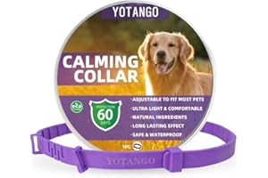 YOTANGO Collare Calmante per Cani, Collare Calmante Regolabile per Cani, Impermeabile Collare Calmo per Cani, Naturale Feromoni 60 Giorni Collare Anti-Ansia per Cuccioli Cani di Grossa Taglia Viola