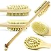 AECHOO Natural Long Handled Body Shower Back Bristle Bath Brush Scrubber & Massager, Effective For Wet And Dry Body Brushing Suitable For Men And Women