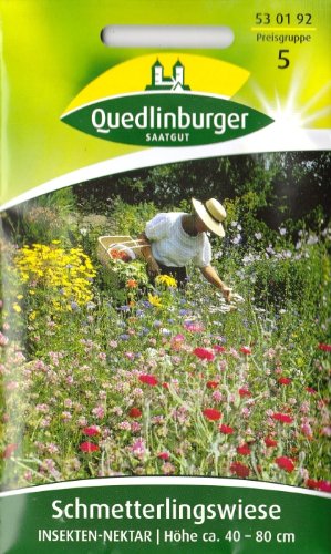 Schmetterlingswiese, Insekten Nektar, Samen für ca. 3 qm.