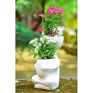 Lyallpur Stores Ceramic Planter Pot - Large (White Color, 24 cm) Plant Not Included