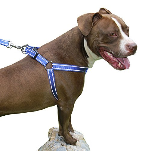 Best Step In - Chaleco de arnés para perro con costuras reflectantes para contorno de pecho de razas de tamaño grande y mediano (1,0 x 26  39 pulgadas), se adapta a todas las correas de perros
