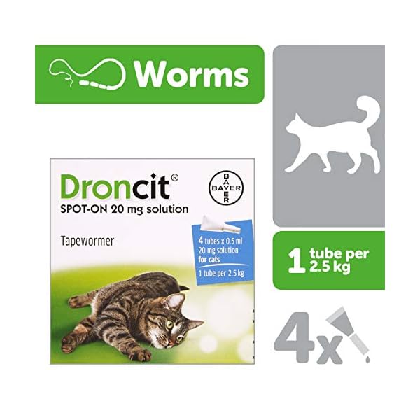 Droncit 0.5ml Tapeworm Cat Wormer, 4 pipettes Dogs.co.uk
