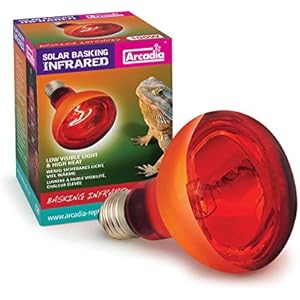 Arcadia SBR75 Basking Solar Infra-Red Wärme Lampe