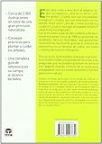 Image de EL ÁRBOL (El Libro De (tutor))
