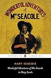 Wonderful Adventures of Mrs Seacole in Many Lands (Penguin Classics) by Sara Salih, Mary Seacole