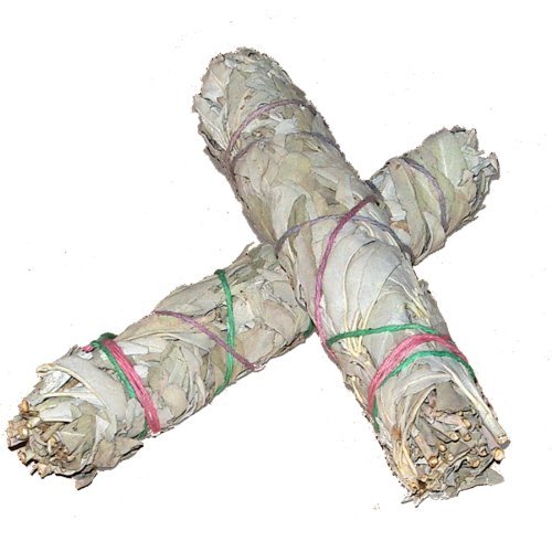 Batonnets de Sauge blanche - lot de 2 - batons / empaqueter / ballot / Encens WHITE SAGE 2 x Large Smudge 7'' (~18-20cm, ~55gr.)