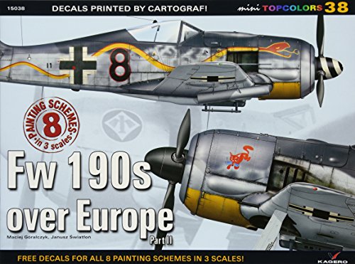 Fw 190s over Europe livre