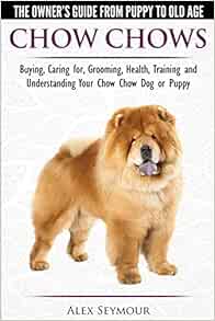 best chow chow breeders