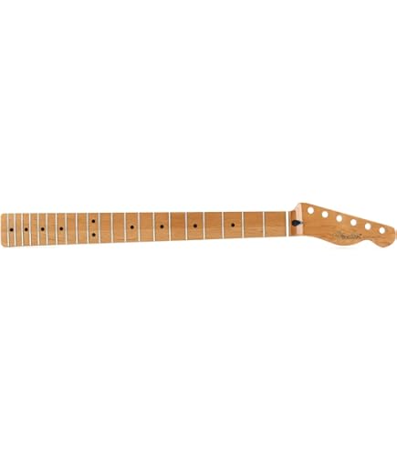 Fender Telecaster Neck - Maple Fingerboard : Amazon.in: Musical 
