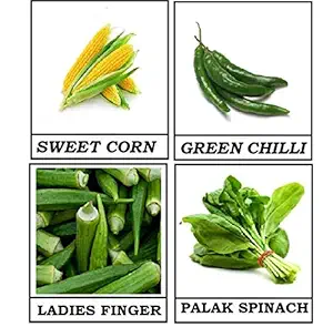 Premier Plants for Home Garden COMBO 4 Varieties Vegetable Seeds (Pack of 375 Seeds)