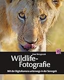 Wildlife-Fotografie: Mit der Digitalkamera unterwegs in der Serengeti