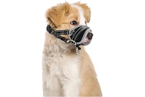 Nasjac Maulkorb für Hunde, Verstellbare Weicher Nylon maulkorb um Beißen zu verhindern Anti-Bellen Stoppen Sie das Kauen Essen Atmungsaktiv Hundemundschutz für kleine Hunde