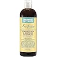 SHEA MOISTURE Butter Castor Oil Shampoo Strengthening Growth Restoration 577 ml (Pack of 1)