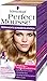 Produktbild Perfect Mousse Permanente Schaumcoloration, 900 Sonniges Blond, 3er Pack (3 x 93 ml)