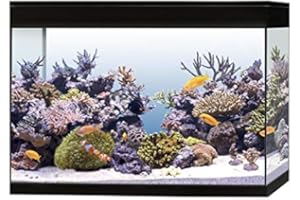Askoll Aa350078 Acquario Pure Marine High Cube Marino Completo Accessoriato, XXL, Nero