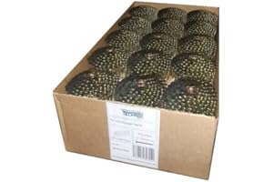 BETEON24 Dachpappnägel 3,1x25mm Ring verzinkt passend für Dachpappnagler Prebena Bostitch Makita AN454