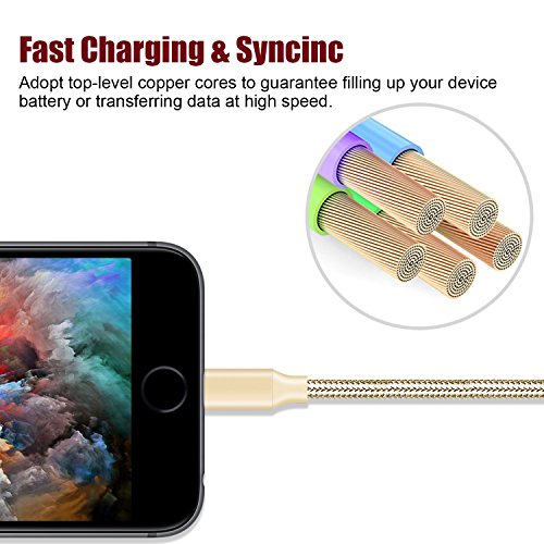 Youer C  ble iPhone 2M   Pack de 3  C  ble Lightning vers USB Chargeur iPhone en Nylon avec Aluminium Connecteur pour iPhone X 8 8 Plus 7 7 Plus 6s 6s Plus 6 6 Plus SE 5C 5S 5 iPad iPad Pro  Or 