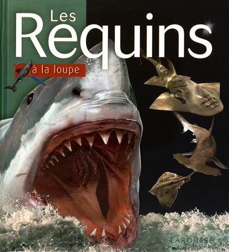couverture de : Les requins &agrave; la loupe