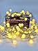Produktbild PHS Led Lichterkette warmweiß für Innenräume und für Draußen. 100 Globe Kugeln und 8 Programme für Party, Garten, Balkon, Weihnachten, Halloween, Hochzeit, Beleuchtung. Schöne Deko in Innen und Außenbereich. Wasserdicht 15M [Energieklasse A+++]
