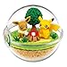 Produktbild Nintendo Pokemon Center Original Pokeball Terrarium Figure Along with Pikachu~133 Eievui Eevee Evoli