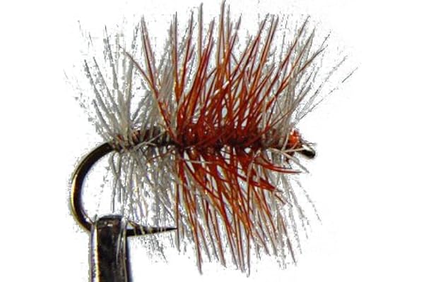 4 x Mouche sèche française - TRICOLORE CLAIRE - pêche à la truite - Taille au choix