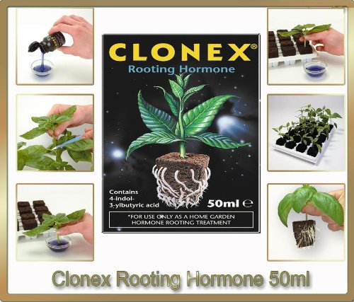 Clonex Pflanze Wurzelbildung Gel, 50 ml - 2