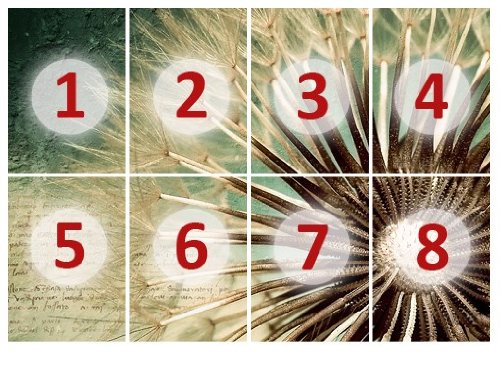 Papiertapete – Fototapete No.73 ‚DANDELION POETRY‘ 400x280cm Pusteblume Blumen , Größe:280cm x 400cm - 4