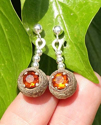 Earrings made of eucalyptus seed pod, citrine and Sterling silver spheres