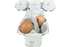 GENERICO 51 cajas de huevos de 4 huevos de cartón, cajas de huevos, reciclables y biodegradables