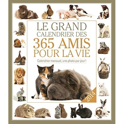 GRAND CALENDRIER 365 AMIS POUR LA VIE 2014 GRAND CALENDRIER 365 AMIS POUR LA VIE 2014