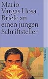 Briefe an einen jungen Schriftsteller: Wie man Romane schreibt (suhrkamp taschenbuch) by 