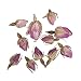 Produktbild Rayher Hobby 34242000 Rosenknospen, 7g, getrocknet, duftintensive, aromatische Deko, Blütenmischungen, ideal zum Einarbeiten in Badekugeln, Knetseife und Badesalz, Echtblüten, rose