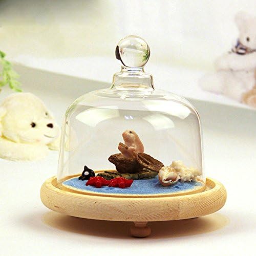 Glass Cloche Dome With Wooden Tray Max Diameter is 13 cm Heigh is 14 cm By Artlass