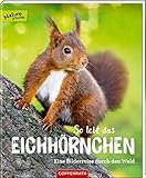 So lebt das Eichhörnchen: Eine Bilderreise durch den Wald (Nature Zoom) by 