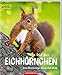 So lebt das Eichhörnchen: Eine Bilderreise durch den Wald (Nature Zoom) by 