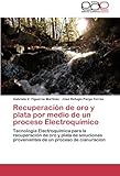 Image de Recuperación de oro y plata por medio de un proceso Electroquímico: Tecnología Electroquímica para la recuperación de oro y plata de soluciones p