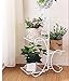 Produktbild Chairs FL Blumenständer/Pflanzenstand Metall Blumenständer Eisen mehrstöckigen Erdgeschoss Blumenregal Wohnzimmer Balkon Zimmerpflanze Blumenständer Blumen Topfhalter (Farbe : Weiß)