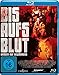 Bis aufs Blut - Brüder auf Bewährung [Alemania] [Blu-ray]