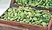 looms & weaves - CARDAMOM - (100 gm), Homestead Produce from Kerala (FREE DELIVERY) - Free from chemicals and pesticides RS.299.00
