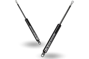 Bs Group - Pack 2 Amortiguadores Descanso Hidráulicos o Resortes para Todo Tipo Canapé - para Camas abatibles frontal y lateral, elevables y Sofas cama- Amortiguador canape 1250N