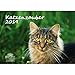 Produktbild Katzenzauber · DIN A3 · Premium Kalender 2019 · Katzen · Haustier · Stubentiger · Katzenbaby · Tier · Edition Seelenzauber