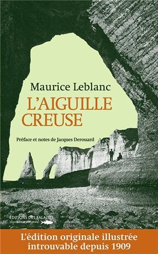couverture de : L'aiguille creuse
